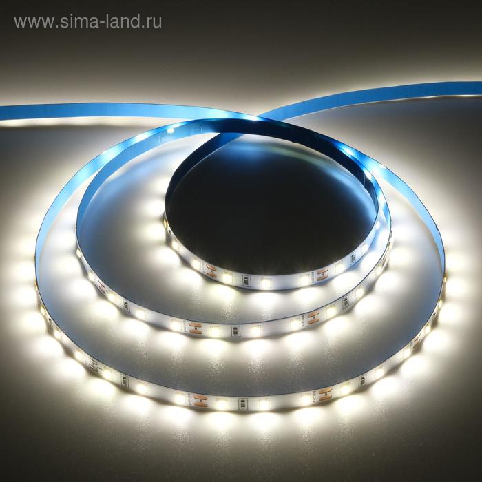 Светодиодная лента Ecola PRO 5 м, IP20, SMD5060, 60 LED/м, 11 Вт/м, 12 В, 4200К - Фото 1