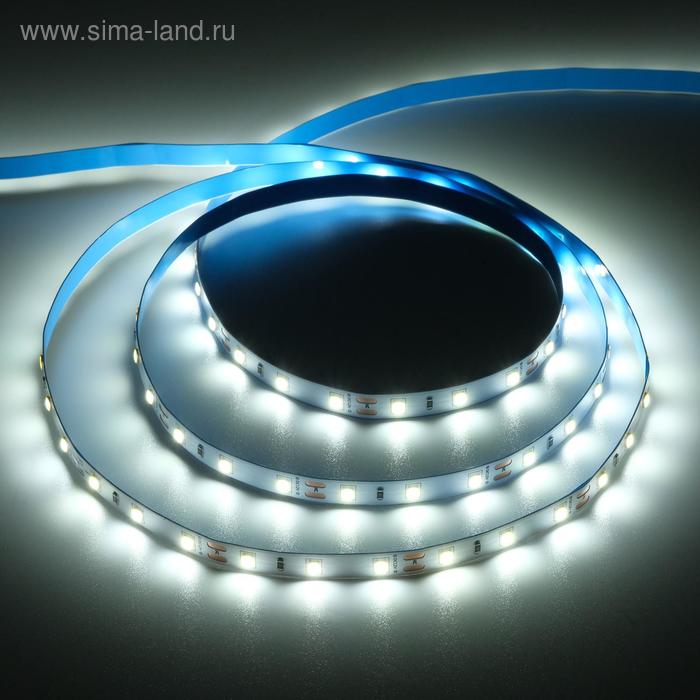 Светодиодная лента Ecola PRO 5 м, IP20, SMD5060, 60 LED/м, 11 Вт/м, 12 В, 6000К - Фото 1