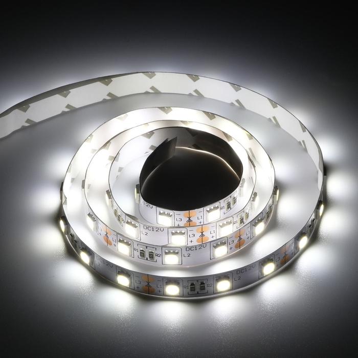 Светодиодная лента Ecola PRO 1 м, IP20, SMD5050, 60 LED/м, 14.4 Вт/м, 12 В, 4200К - фото 1905718856