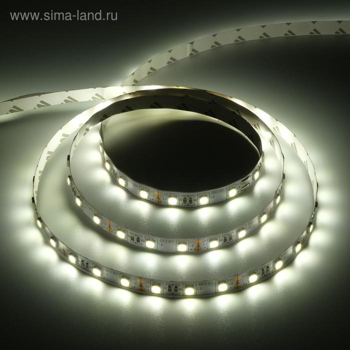 Светодиодная лента Ecola PRO 3 м, IP20, SMD5050, 60 LED/м, 14.4 Вт/м, 12 В, 4200К - Фото 1