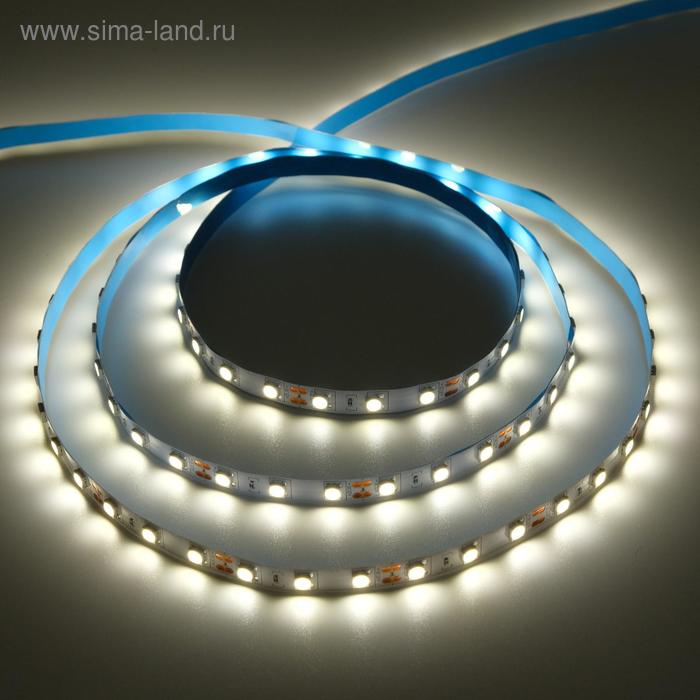 Светодиодная лента Ecola PRO 5 м, IP20, SMD5050, 60 LED/м, 14.4 Вт/м, 12 В, 4200К - Фото 1