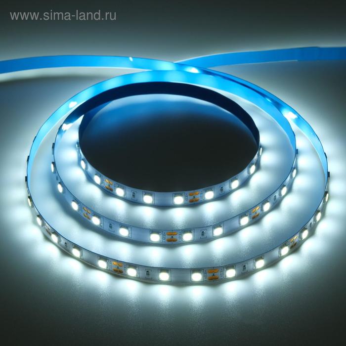 Светодиодная лента Ecola PRO 5 м, IP20, SMD5050, 60 LED/м, 14.4 Вт/м, 12 В, 6000К - Фото 1