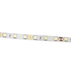 Светодиодная лента Ecola PRO 5 м, IP20, SMD5050, 60 LED/м, 14.4 Вт/м, 12 В, 6000К - Фото 3