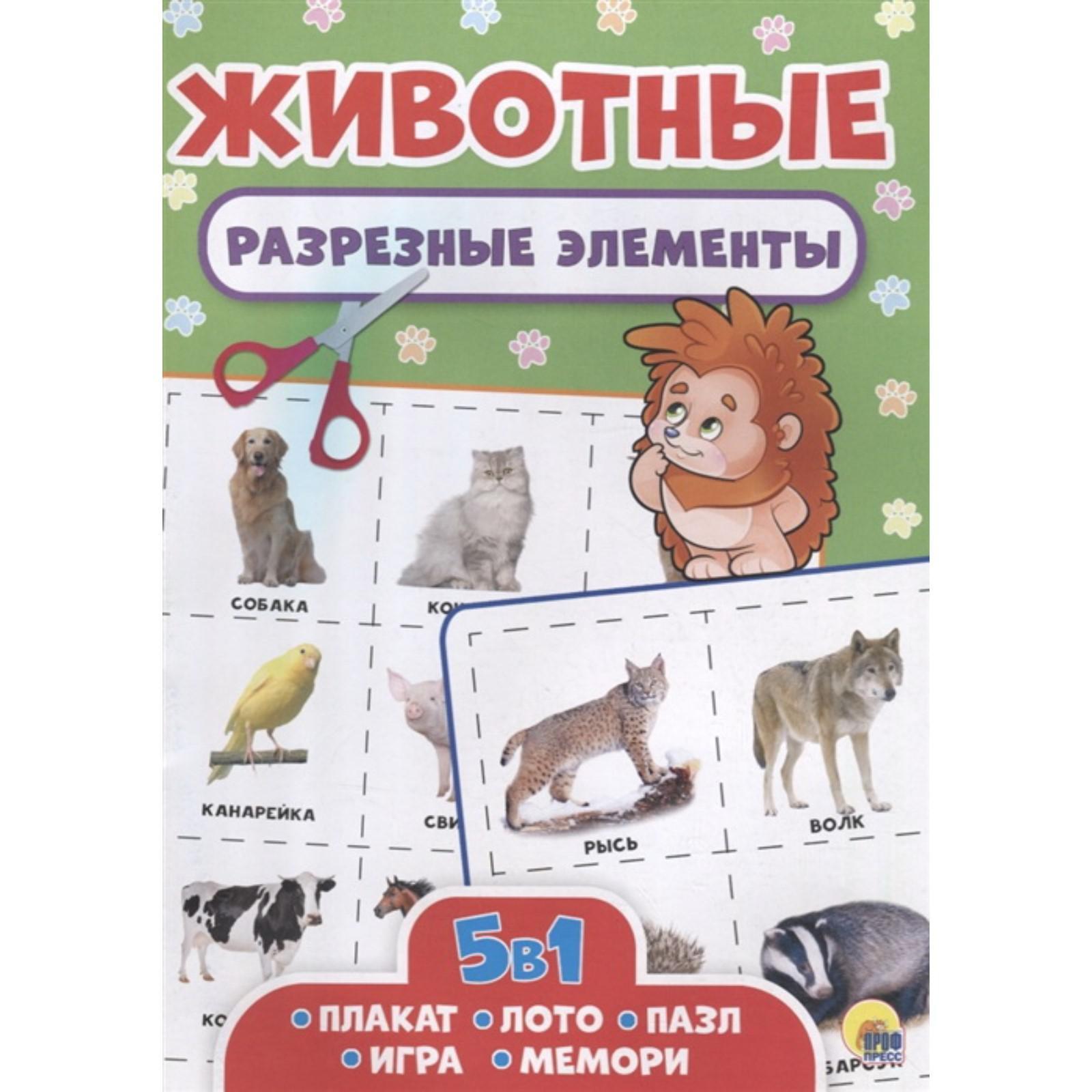 Разрезные элементы. Пять в одном. Животные (5537016) - Купить по цене от  54.00 руб. | Интернет магазин SIMA-LAND.RU