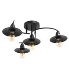 Люстра 70008/4 4х40Вт Е27 черный 50х50х30 см 5482567