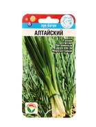 Семена Лук Батун "Алтайский" 0.5гр - Фото 1