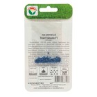 Семена Лук репчатый "Темптэйшен", F1, 100шт. - Фото 2