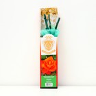 Саженец розы "Дамсел", 1 шт, туба, Весна 2023 - Фото 1