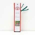 Саженец розы "Голден Лиф", 1 шт, туба, Весна 2023 - Фото 2