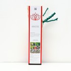 Саженец розы "Мистер Линкольн", 1 шт, туба, Весна 2023 - Фото 2