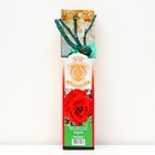 Саженец розы "Нигридо", 1 шт, туба, Весна 2023 - Фото 1