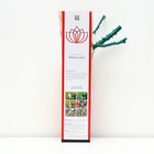 Саженец розы "Карт Д’Ор", 1 шт, туба, Весна 2023 - Фото 2