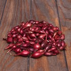 Лук севок Кармен , р-р 18-21, 2 кг, Весна 2025 - Фото 1