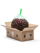 Лук севок Кармен , р-р 18-21, 2 кг, Весна 2025 - Фото 3