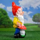 Садовая фигура из гипса «Гном - художник», 16×18×41 см - Фото 8