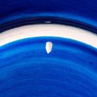 Тарелка плоская 18см "Синий тюльпан" - Фото 4