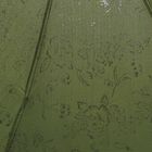 Зонт механический "Цветочки", R=50см, с проявляющимся рисунком, цвет зелёный - Фото 3