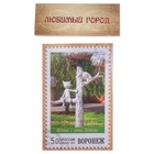 магнит закатной Воронеж Котенок с улицы Лизюкова 8*5 см - Фото 2