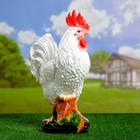 Садовая фигура "Петух" белый, 20х44х56см - Фото 2