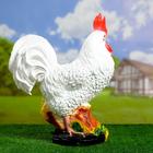 Садовая фигура "Петух" белый, 20х44х56см - Фото 3