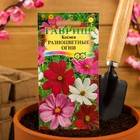 Семена цветов Космея «Разноцветные огни», 0.5 г, «Гавриш» - Фото 3