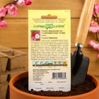 Семена цветов Космея «Разноцветные огни», 0.5 г, «Гавриш» - Фото 4