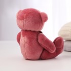 Мягкая игрушка «Самая красивая», мишка МИКС, 19 см - Фото 6
