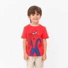Футболка MARVEL "Spider man hero", рост 110-116 (32), красный - фото 9128649