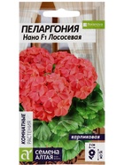 Семена цветов Пеларгония "Нано", ц/п,  "Лососевая", ц/п,  3 шт 5486193 - фото 16228111