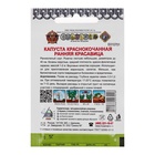 Семена Капуста краснокочанная «Ранняя красавица», 0.5 г, «Русский огород» - Фото 5