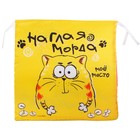 сидушка на стул текстиль Наглая морда 40*40 см - Фото 1