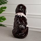 Копилка "Собака Бетховен", бело-коричневая, керамика, 33 см - Фото 3