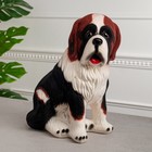 Копилка "Собака Бетховен", флок, бело-коричневая, керамика, 34 см - Фото 1