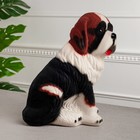 Копилка "Собака Бетховен", флок, бело-коричневая, керамика, 34 см - Фото 2
