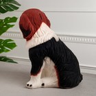 Копилка "Собака Бетховен", флок, бело-коричневая, керамика, 34 см - Фото 4