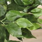 Дерево искусственное "Зелёный лист" 150 см - Фото 2