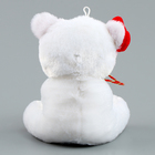 Мягкая игрушка «Ты чудо», медведь, цвета МИКС - Фото 6
