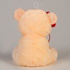 Мягкая игрушка «Я тебя люблю», мишка, 18 см - Фото 4