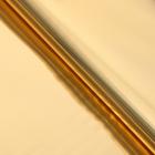 Полисилк двухсторонний черный + золото, 1 х 20 м - Фото 3