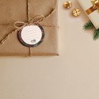 Шильдик на подарок «Снегирь», 5,6 х 5,6 см, Новый год - Фото 3