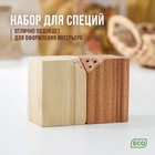 Набор для специй Катунь, 10×5×7 см, 2 шт., на магнитах, бамбук - Фото 1
