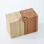 Набор для специй Катунь, 10×5×7 см, 2 шт., на магнитах, бамбук - Фото 4