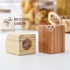 Набор для специй Катунь, 10×5×7 см, 2 шт., на магнитах, бамбук - Фото 2