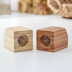 Набор для специй Катунь, 10×5×7 см, 2 шт., на магнитах, бамбук - Фото 5