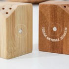 Набор для специй Катунь, 10×5×7 см, 2 шт., на магнитах, бамбук - Фото 3