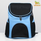 Рюкзак для переноски животных, 31,5 х 25 х 33 см, голубой - фото 3014756