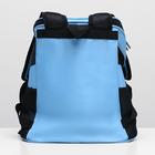 Рюкзак для переноски животных, 31,5 х 25 х 33 см, голубой - Фото 7