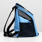 Рюкзак для переноски животных, 31,5 х 25 х 33 см, голубой - Фото 8