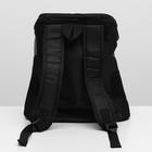 Рюкзак для переноски животных, 31,5 х 25 х 33 см, черный - фото 8500372