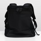 Рюкзак для переноски животных, 31,5 х 25 х 33 см, черный - фото 8500373
